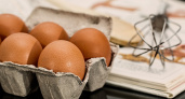 В Мордовии произвели 363 миллиона яиц в 2024 году